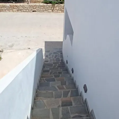Gerani *